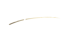 Signature Clinic - Logo