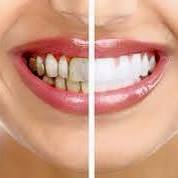 Baydental Orthodontics - Logo