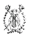 Dentamir - Logo