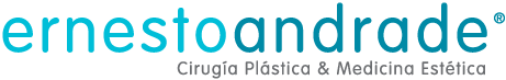 Ernesto Andrade - Logo