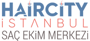 Hair City Istanbul - Logo