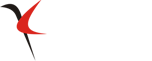 Kyra Hair Transplant - Logo