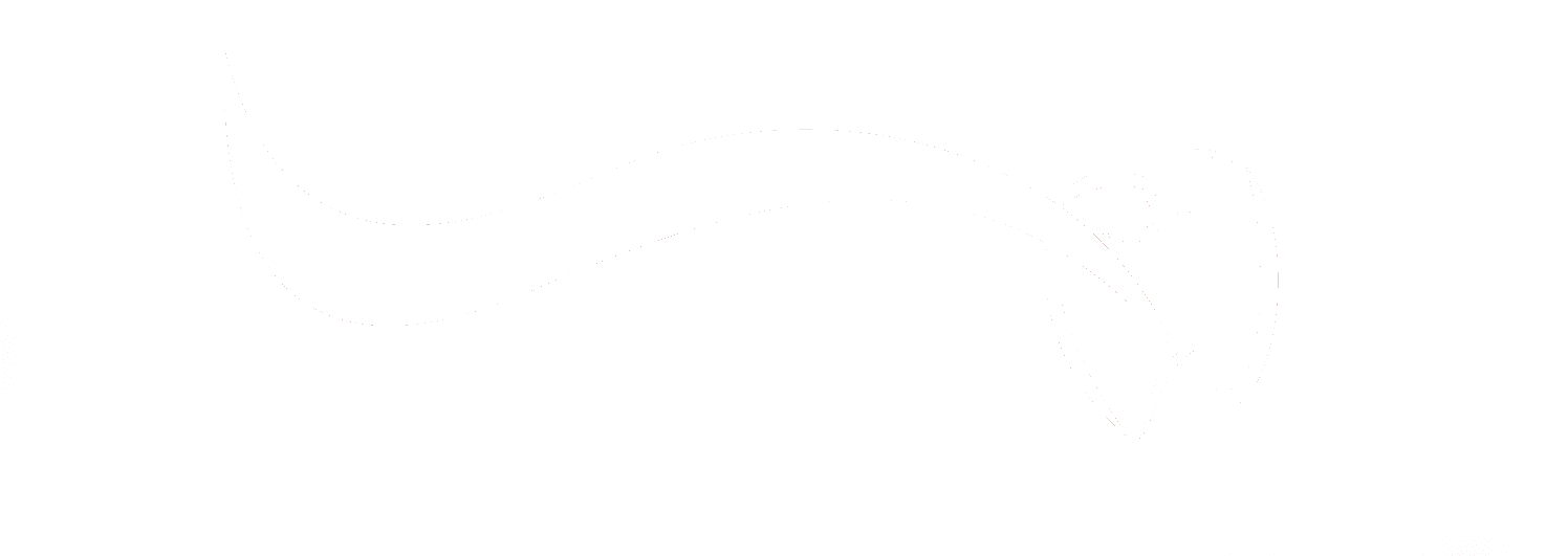 Lodewijkveste Tandartsen - Logo