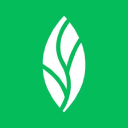 Mint Dentistry - Logo