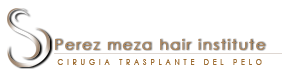 Perez Meza Hair Institute - Logo