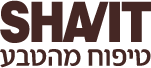 Shavit - Logo