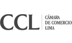 Solucion Dental - Logo