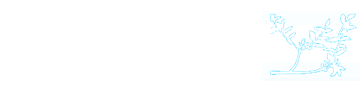 Southwoods Dental Practice - Logo