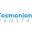 Tasmanian Dental Prosthetics - Logo