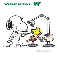Vidental - Logo