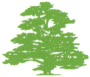 Wollaton Park Dental Practice - Logo